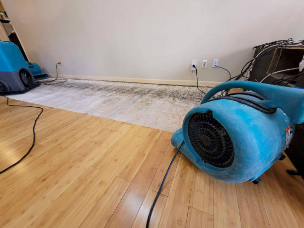 Professional Water Extraction technician working in Glenmont, MD